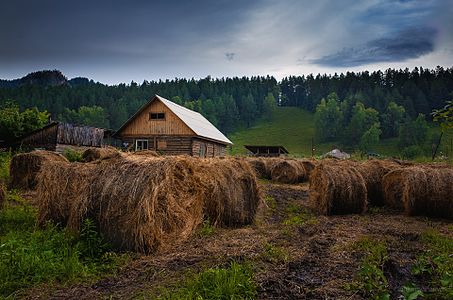 Сельский туризм в России